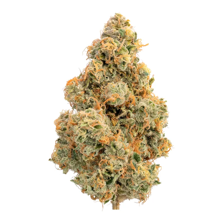 French Toast THCa flower bud