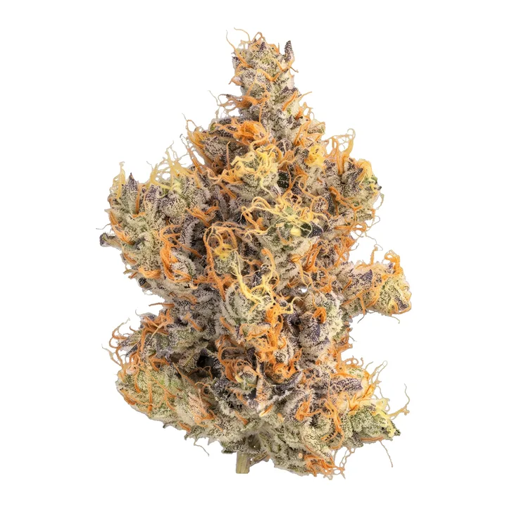 Garlic Cookies THCa flower bud