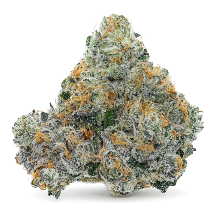 Silver Haze THCa flower bud