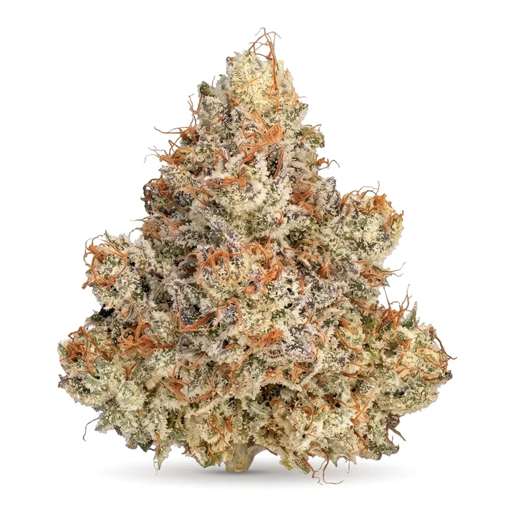 Frosted Cherry Cookies THCa flower bud