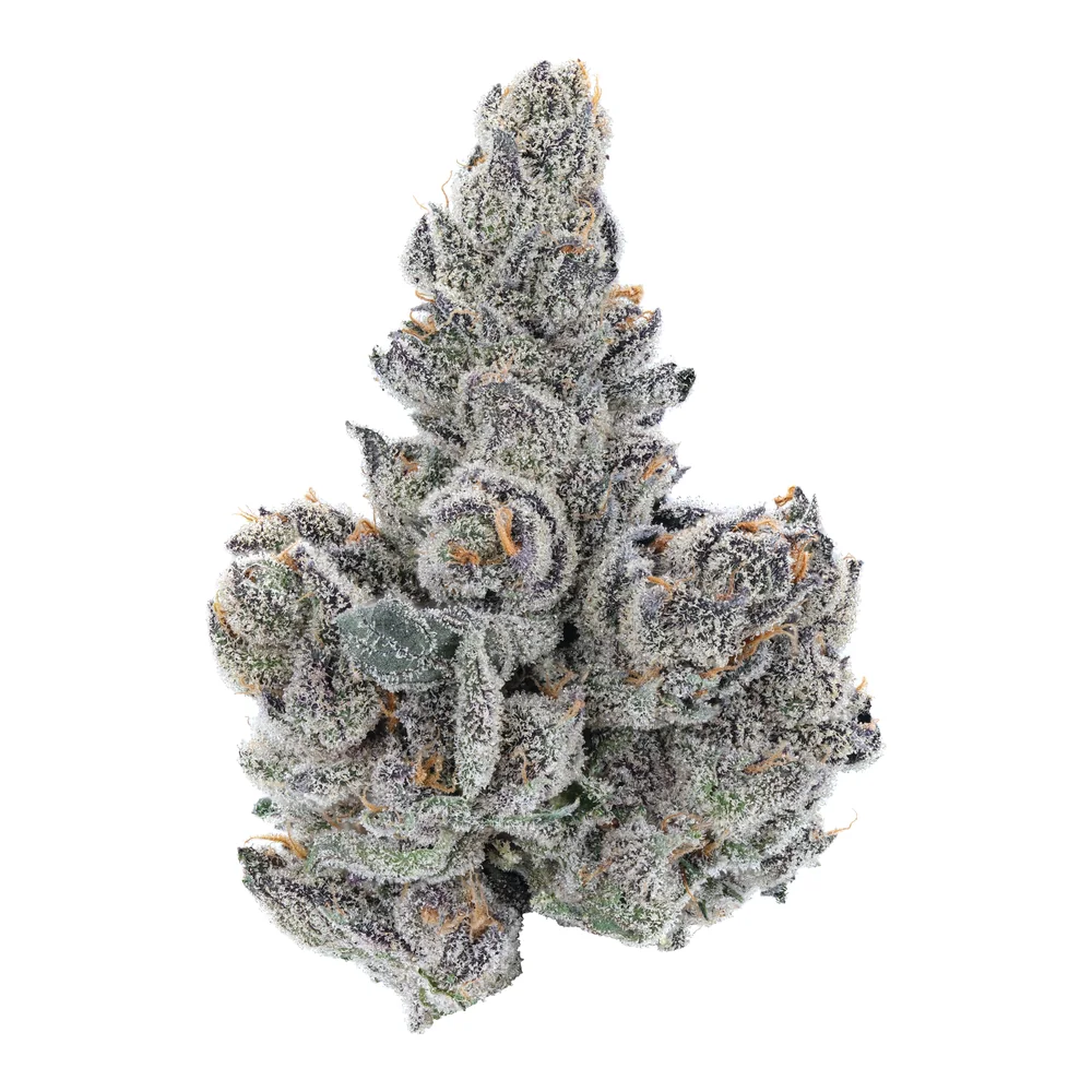 Frosty Grape Gas THCa flower bud from Eclipse